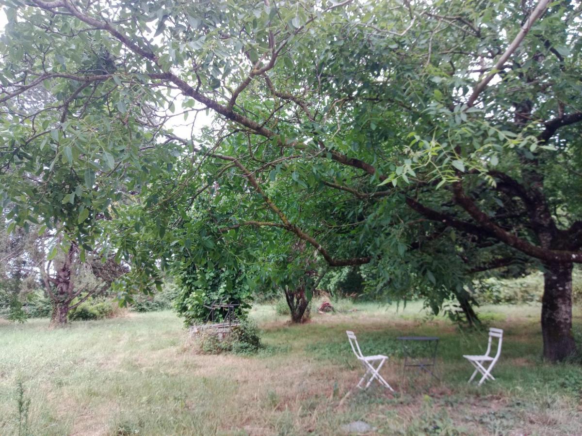Cottages Et B&B De Troussay เชอแวร์นี ภายนอก รูปภาพ